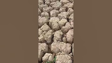 #سبحان_الله #سبحان وبحمده #تلاوة_هادئة #أرح_سمعك_وقلبك #قران_كريم #اللهم_صل_وسلم_على_نبينا_محمد