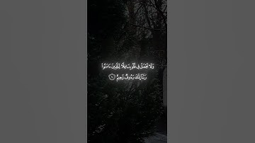 تلاوة جميلة بصوت الشيخ عاصم اللحيدان #shots #اكسبلور #quran #shots #عاصم_اللحيدان
