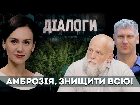 Амброзія. Знищити всю | Діалоги #41 | Анна Коновал