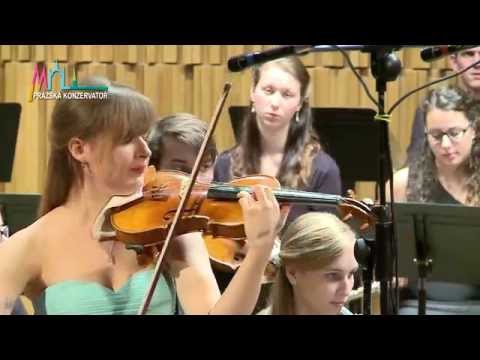 Sibelius violin concerto/ Ludmila Pavlová, Ondrej Lenárd