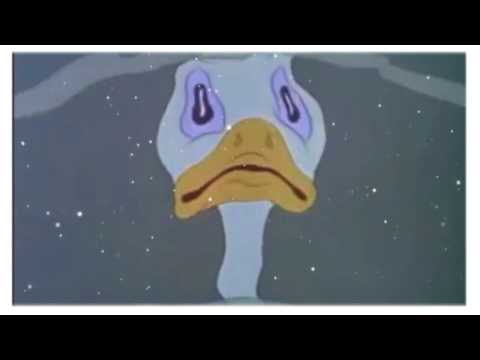 الموقف لي بضيج امس قولوله باكر لو متت لا يوكف على جنازتي