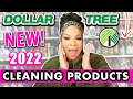 DOLLAR TREE CLEANING PRODUCTS NO ONE IS TALKING ABOUT FOR 2022!