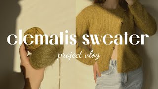 knit with me clematis sweater | test knitting, yarn, and pattern review | project vlog by kniteryna