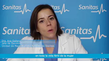 ¿Cuáles son los cinco factores principales que afectan a la fertilidad?