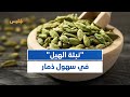 مزارع يبدأ بزراعة نبتة الهيل لأول مرة بمنطقة عتمة مزارع يبدأ بزراعة نبتة الهيل لأول مرة بمنطقة عتمة