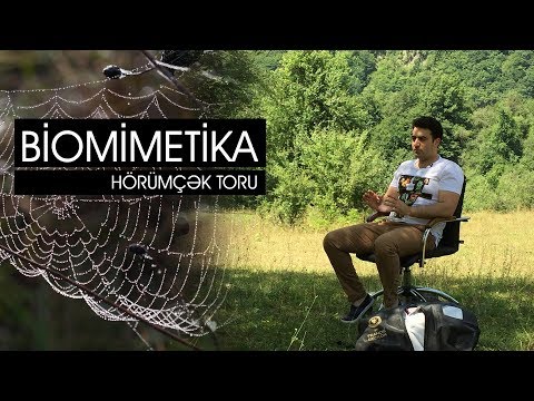 Biomimetika - Hörümçək toru