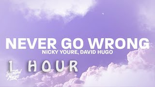 [ 1 HOUR ] Nicky Youre, david hugo - Never Go Wrong (Lyrics)