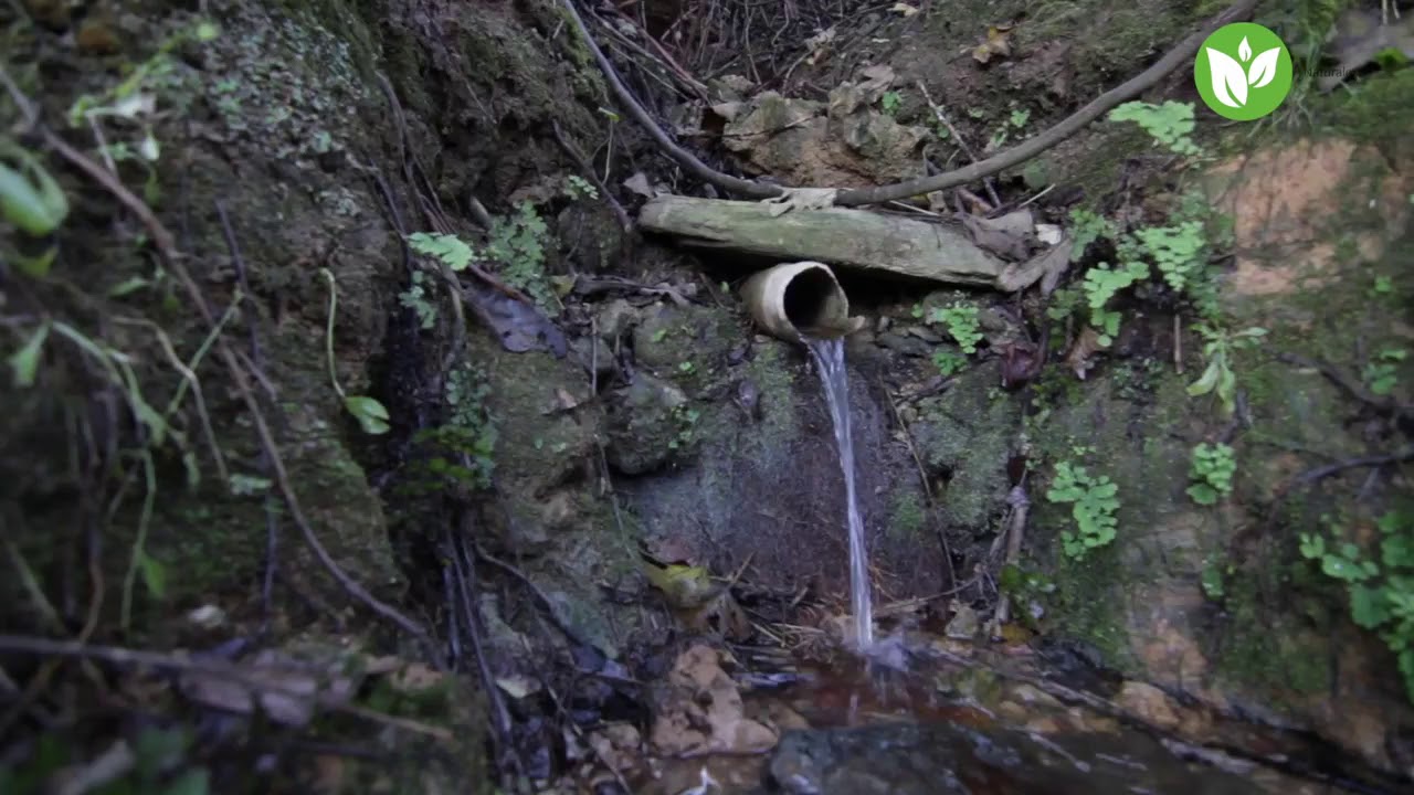 Paraje de 'El Chorrito' - Paterna del Campo