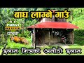 अचम्मको बाघ लाग्ने गाउँ || इलाम शान्तिपुर यात्रा || Trip to ILAM || The Village of Tiger