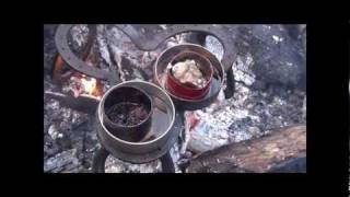 Rendering Pine Sap