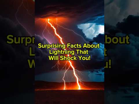 Surprising Facts About