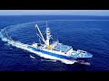 Amazing catching thousands tons of tuna fish with modern big boat  fastest squid fishing trawl
