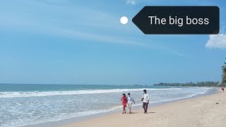 Srilankas Beautiful Beach The Big Boss