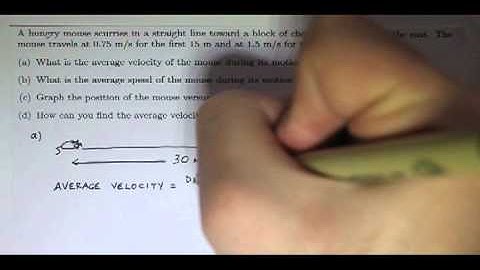 Average Speed and Average Velocity - Problem 2, Part a