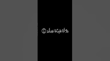 سورة الكافرون شاشة سوداء للشيخ مشاري العفاسي❤️❤️