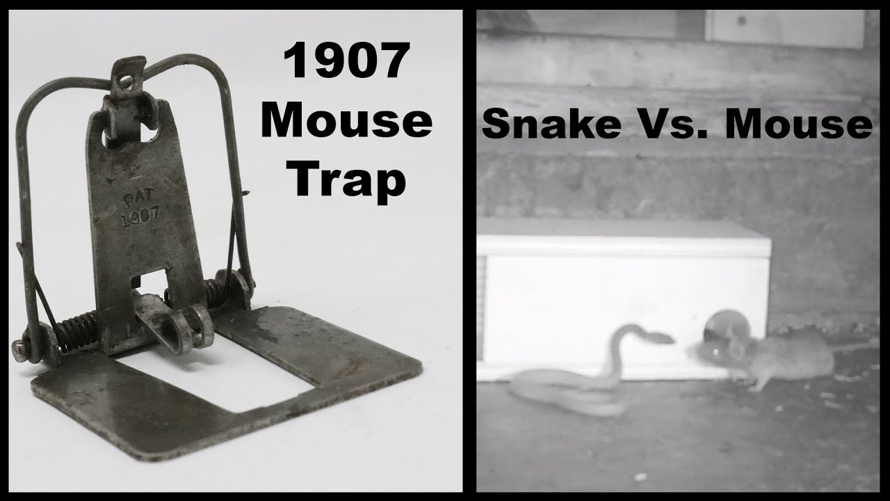 The Rope & TP Roll Bucket Mouse Trap - As Seen On Reddit. Mousetrap Monday  