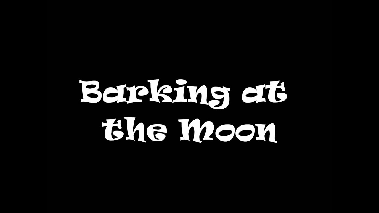 barking at the moon barking at the moon by lewis guitar cover barking at the moon barking at the moon by lewis guitar cover