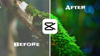 CapCut Tutorial | Before & After Transition