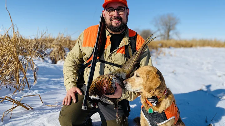 Late Season Pheasant Hunting with First Time Flushers | The Flush: Season 11, Episode 8