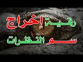 رقية إخراج سم النظرات و العين الشيخ الراقي الشرعي ناصر زيدان الغامدي رقية إخراج سم النظرات و العين الشيخ الراقي الشرعي ناصر زيدان الغامدي