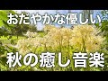 【癒しBGM】心が落ち着く優しいリラックス音楽、自律神経を整え不安やストレス解消のためのヒーリングミュージック/睡眠用・作業用・勉強用BGM