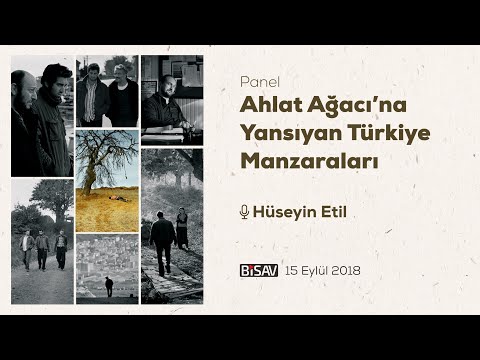 Video: Boncuk Ağacı Bilgisi - Manzaralarda Chinaberry Kontrolü İçin İpuçları