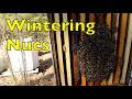 Overwintering Nucs for 2023