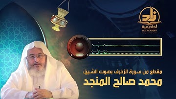 مقطع من سورة الزخرف، بصوت الشيخ: محمد صالح المنجد