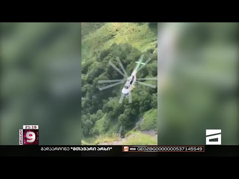 რა გახდა გუდაურის ტრაგედიის მიზეზი?