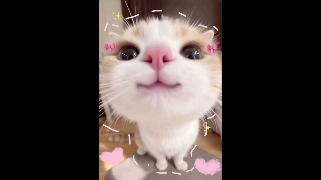 Hèn nhát thẳng nam bị lừa làm vạn nhân mê