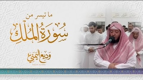 ﴿ أمن هذا الذي يرزقكم إن أمسك رزقه﴾ تلاوة مؤثرة تأسر القلوب 🤍 الشيخ وديع اليمني