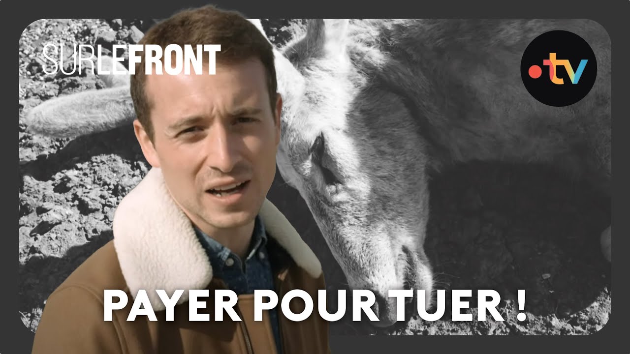 Le business des animaux exotiques - Sur le front avec Hugo Clément