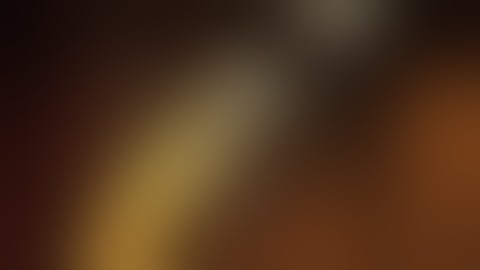 Thumbnail of FAUVE ≠ NUITS FAUVES