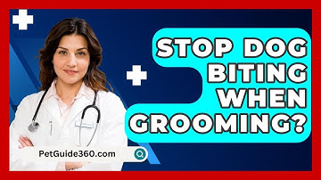 Stop Dog Biting When Grooming? - PetGuide360.com