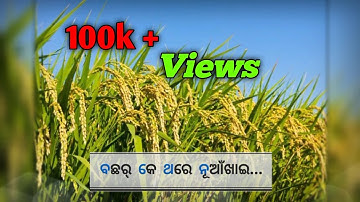 Nuakhai Status Video | Nuakhai Status | Sambalpuri Status Video | Amar Sambalpuri Music