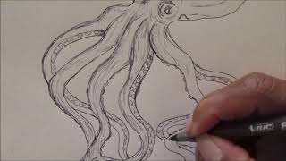 How to Draw an Octopus/Hexapus(6 legs)