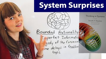 Thinking in Systems, Ch. 4: Why Systems Surprise Us
