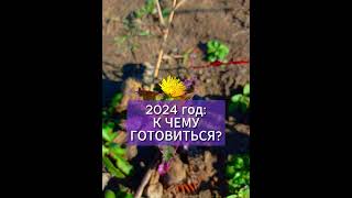 К ЧЕМУ ГОТОВИТЬСЯ В 2024 ГОДУ? #shorts