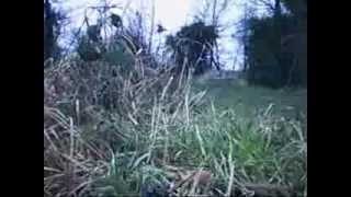 Hrta Rolling Ault Gun Cam