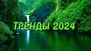 ⛰️Танцуй если знаешь этот тренд 2024 года⛰️