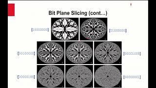 Point Operations: Gray Level Slicing and Bit Plane Slicing
