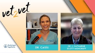 Continuous Glucose Monitoring in Dogs and Cats | A Vet2Vet Conversation