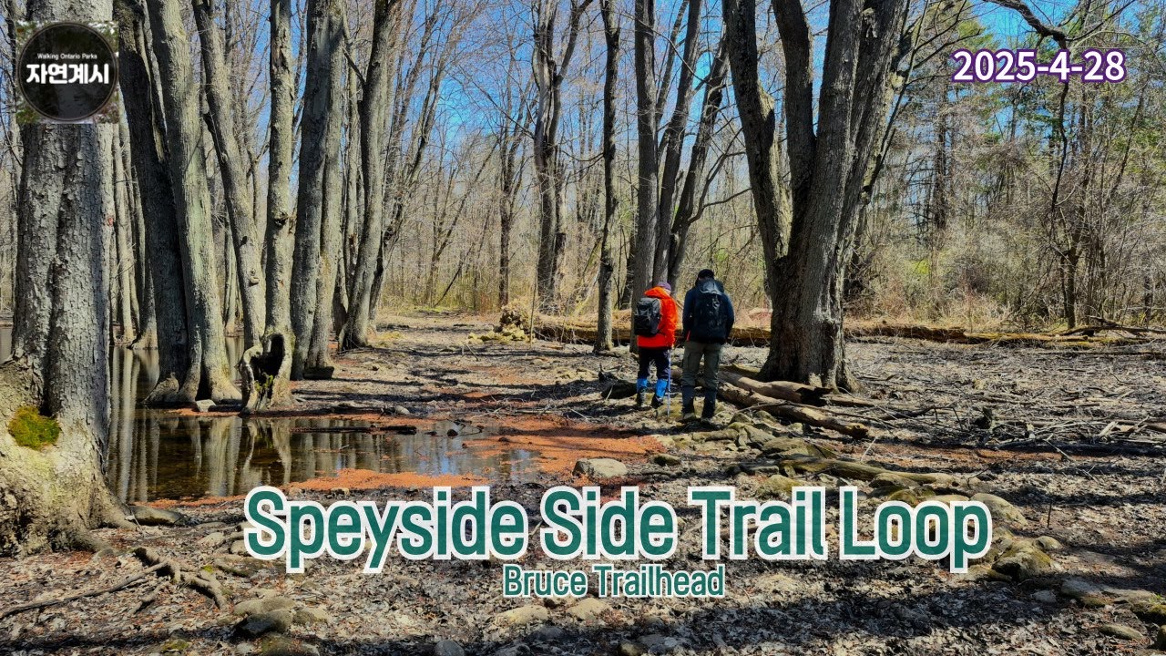 Bruce Trail || Speyside Trail #5 ‪@walkingontarioparks‬ - YouTube