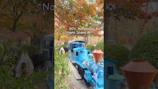 🍁 POV: Autumn in Nami Island 🇰🇷