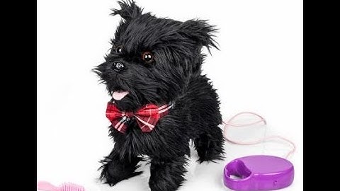 Switch adapted toys Amigos dogs MERU