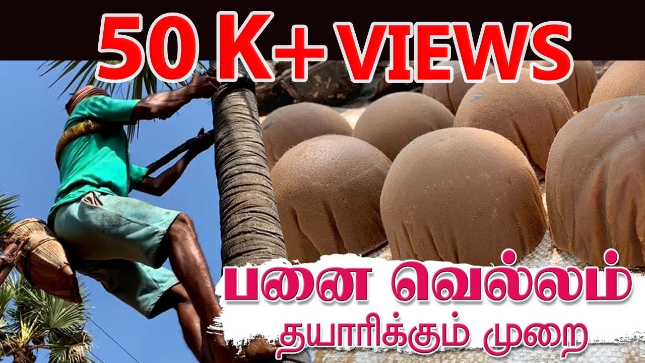 பனைவெல்லம் @ கருப்பட்டி தயாரிக்கும் முறை