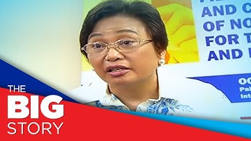 Comelec Commissioner Guanzon decries "abused" party-list system