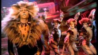 The Rum Tum Tugger  starring John Partridge. HD, from Cats the Musical  the film.