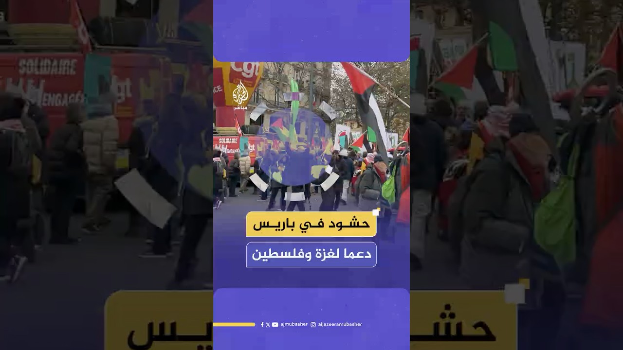 "هناك إبـ ـادة جماعية لا تزال مستمرة".. مظاهرة حاشدة في باريس دعما لغـ ـزة والفلسـ ـطينيين
