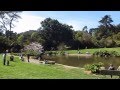 Ca Botanical Francisco San San Francisco, Garden